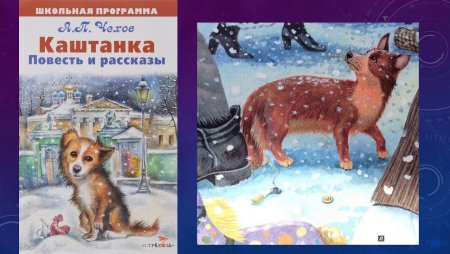 Иллюстрации к книге каштанка