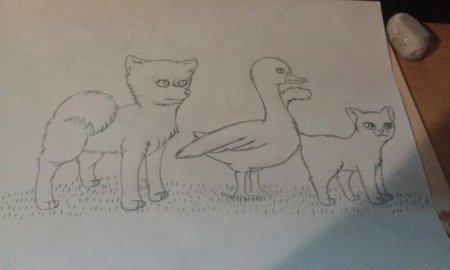 Рисунок каштанки по рассказу Чехова