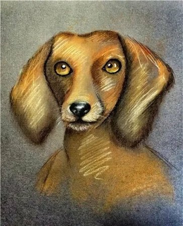 Каштанка рисунок