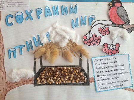 Берегите птиц зимой