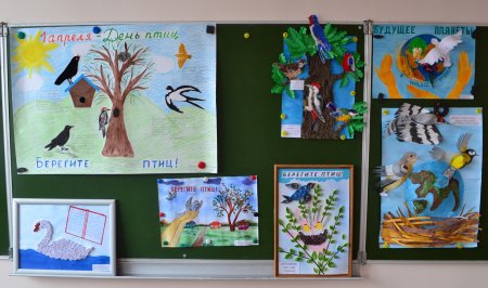 Плакат в защиту птиц