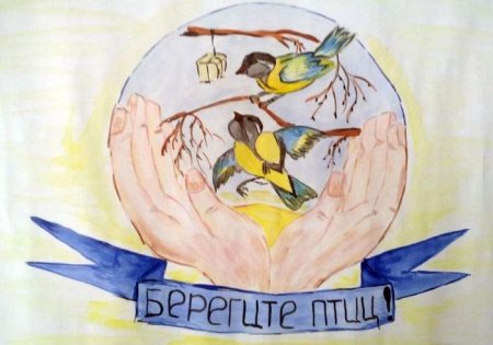 Плакат берегите птиц