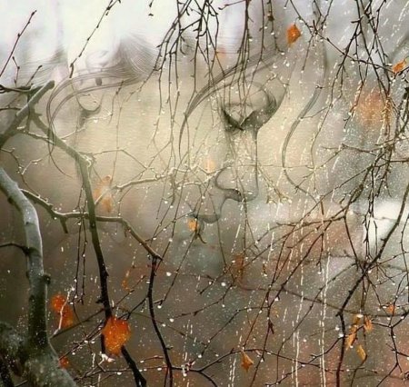 Поздняя осень одиночество