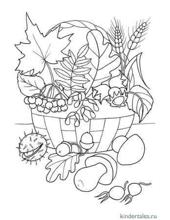 Осенний букет раскраска для детей