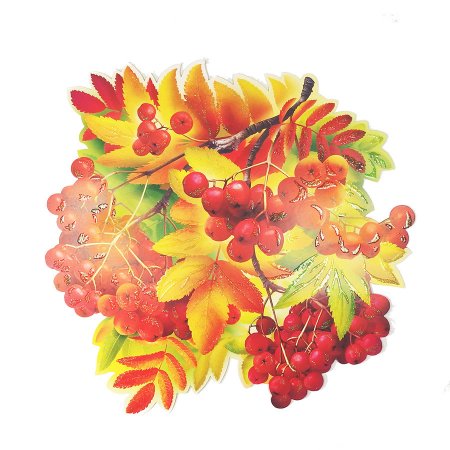 Рябина осенью