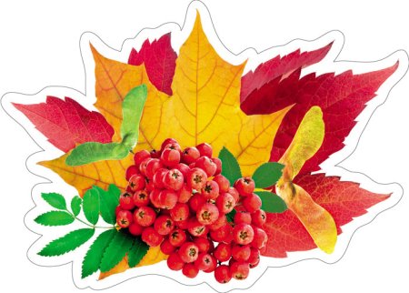 Осенние украшения на доску