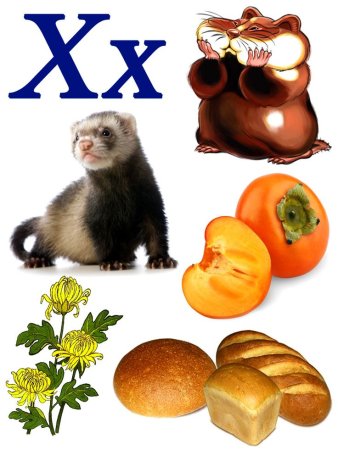 Буквы в виде предметов