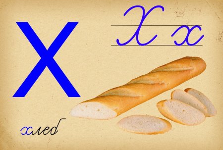 Слова на букву x на английском