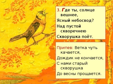 Скворушка рисунок