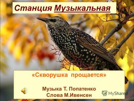 Рисование скворцы прилетели