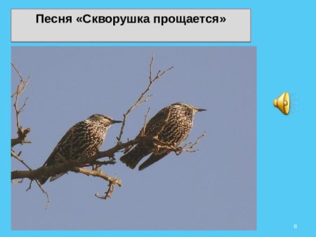 Вера Шестакова улетает Скворушка