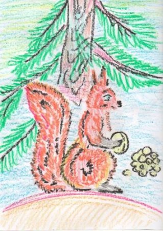Белочка ель рисунок