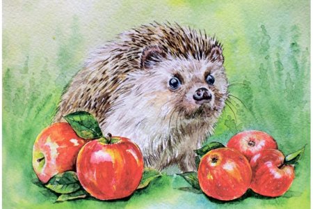 Ежик живопись