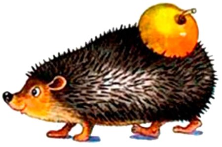 Еж рисунок