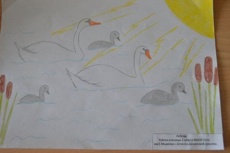 Дикие лебеди рисунок легкий