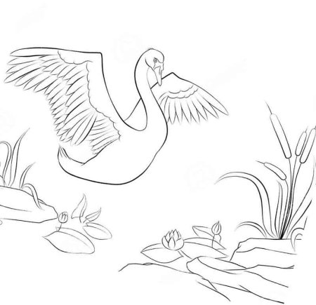 Иллюстрации к сказке Дикие лебеди для срисовки