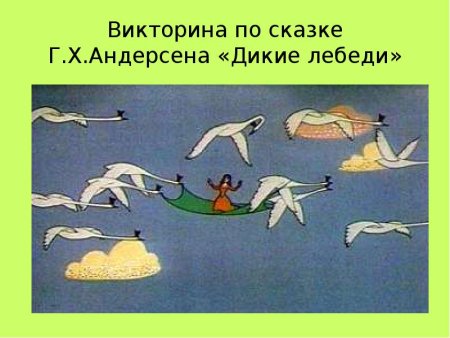 Рисунок к сказке Дикие лебеди Андерсена