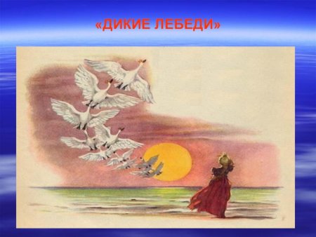Дикие лебеди рисунок