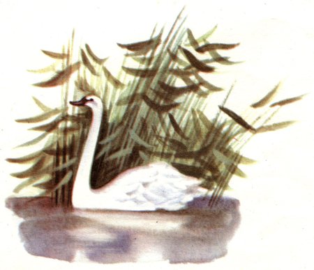 Гадкий утенок Дикие лебеди