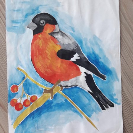 Снегирь рисунок для детей
