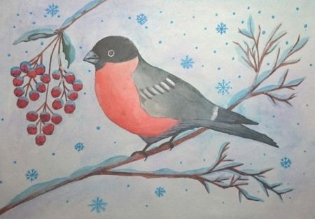 Рисование зимующие птицы