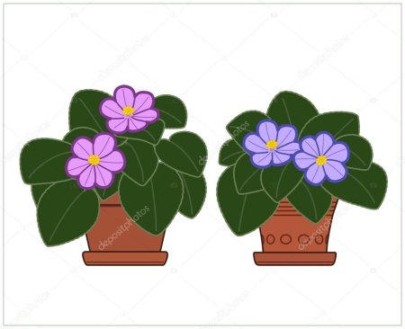 Фиалка в горшке рисунок