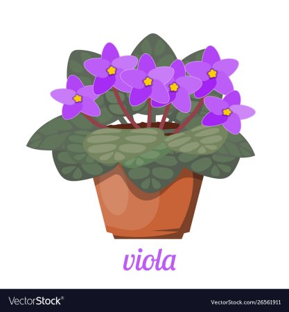 Фиалка в горшке вектор