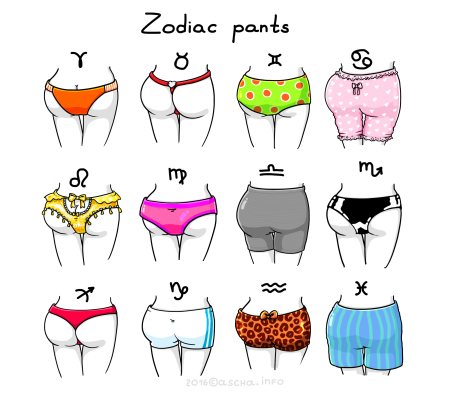 Виды трусов женских названия