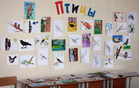 Уроки рисования для детей красками птицы