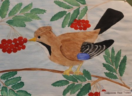 Зимующие птицы на кормушке