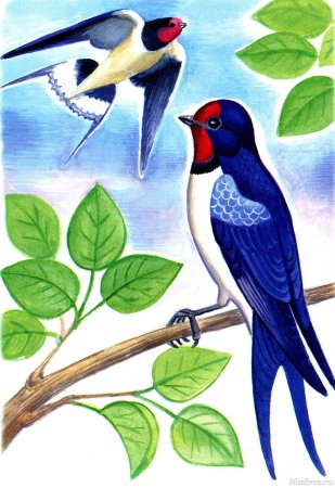 Рисунок звучащая природа