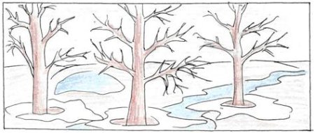 Нарисовать рисунок Весна