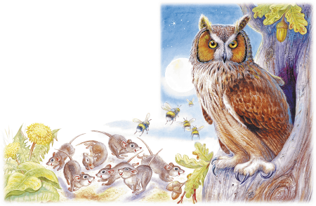 Сказка Сова Бианки