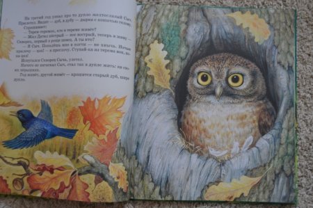 Сова Бианки иллюстрации