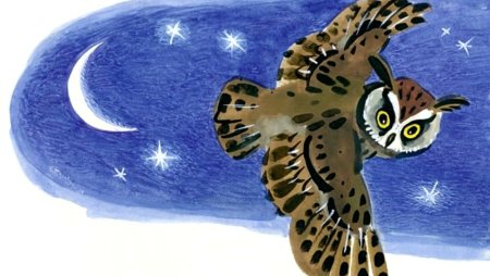 Сова Виталий Бианки старик