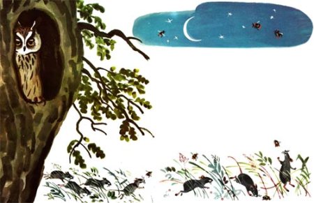 Виталий Бианки Сова