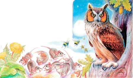 Виталий Бианки Сова