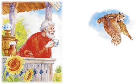 Н Сладков про сову