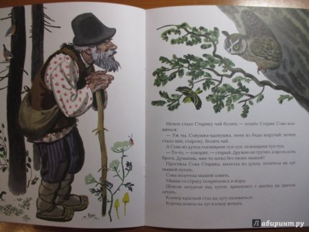 Герои рассказа Сова Бианки