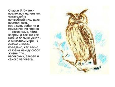 Сова в дупле для детей