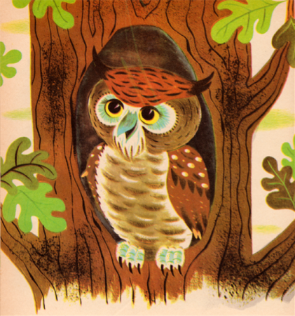 Раскраски к сказке Бианки Сова