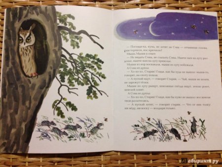 Сказка Сова Бианки