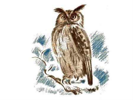 Книжка Виталия Бианки Сова