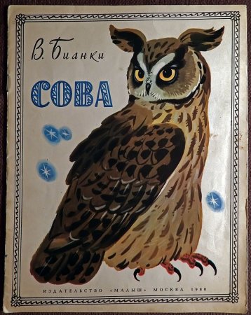 Сова Виталий Бианки старик