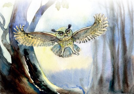 Книжка Виталия Бианки Сова