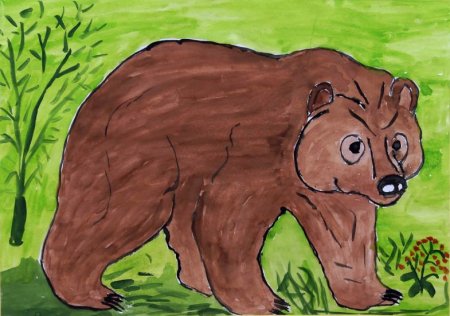Медведь рисунок