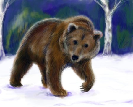 Медведь рисунок