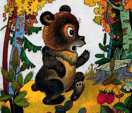Раскраска Лесной медведь