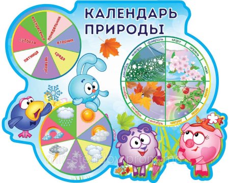 Уголок природы в детском саду