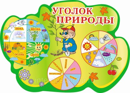 Картина уголок природы природы в детском саду